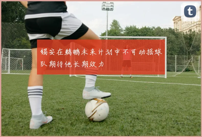 锡安在鹈鹕未来计划中不可动摇球队期待他长期效力